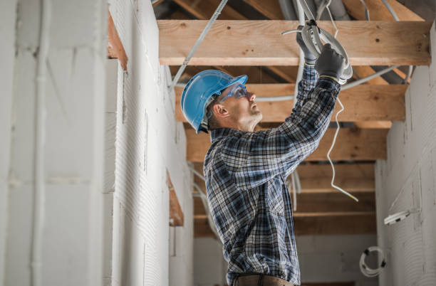 Best Electrician for Home Renovation  in Linln Park, CO